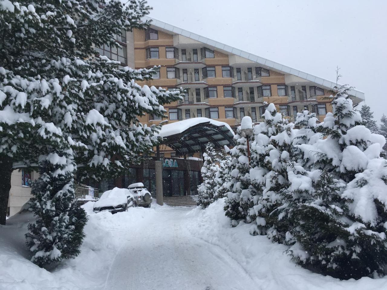 Studio In Hotel Flora Borovets Dış mekan fotoğraf
